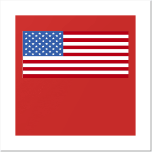 THE AMERICAN FLAG Posters and Art